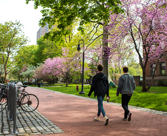 Two students walking away in a spring.